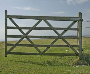 AUTOMATIC GATES